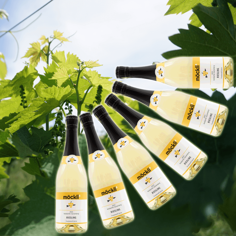 m-cklis-pakete-2023er-riesling-traubensaft-secco-6er-paket image 1