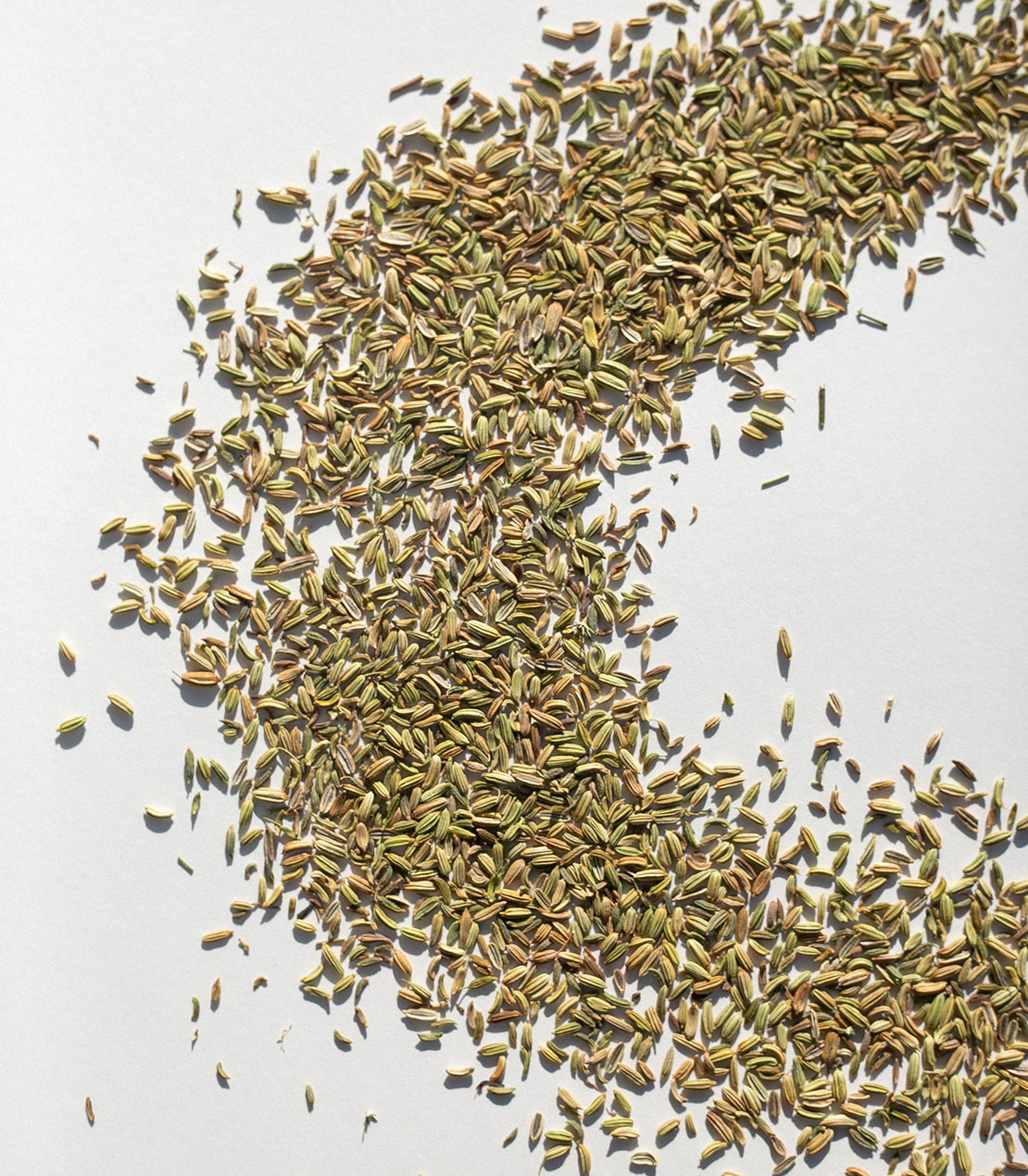 daphnis-and-chloe-culinary-herbs-fenchelsamen-gew-rz-glas-aromatisch image 1