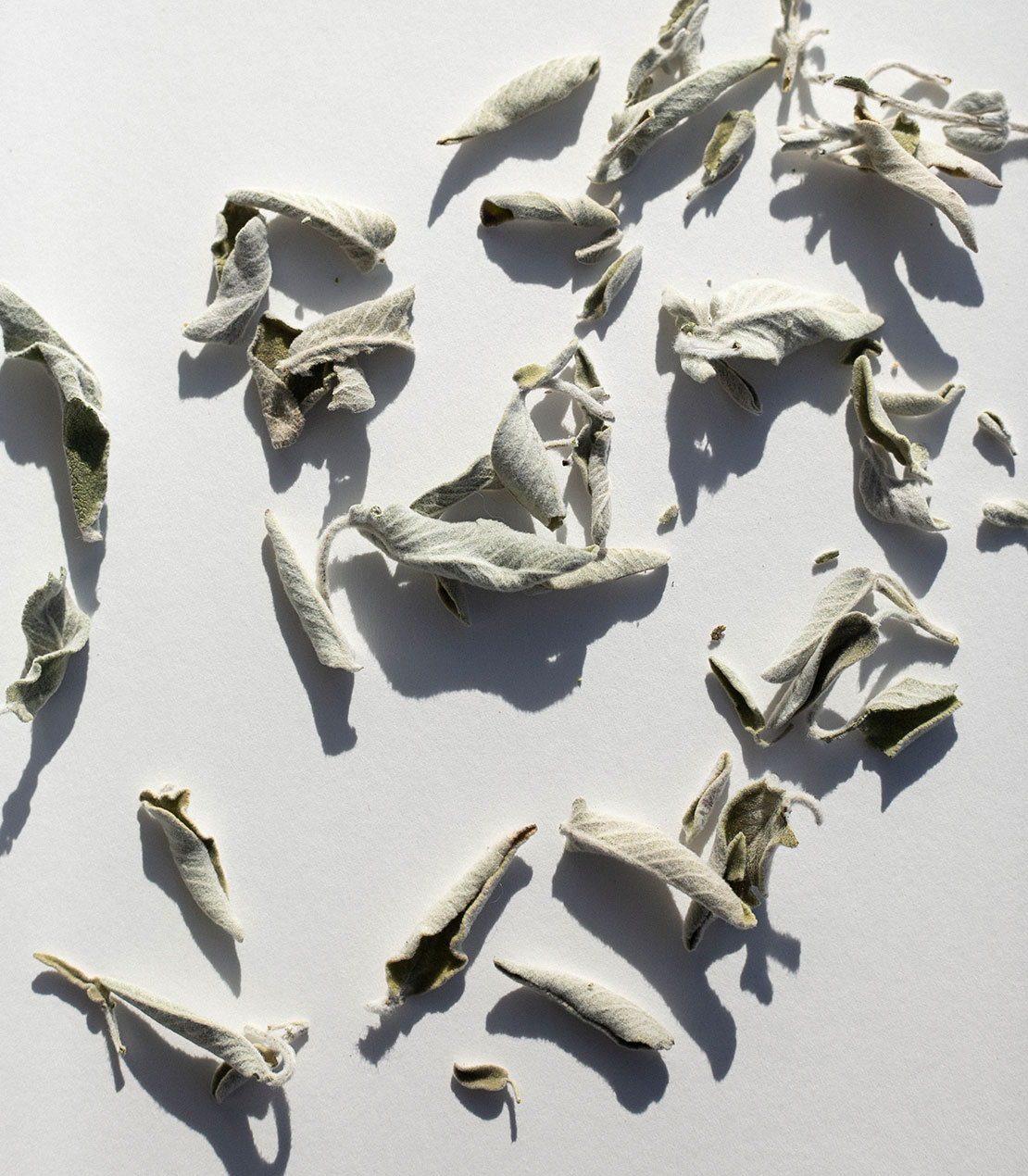 daphnis-and-chloe-culinary-herbs-greek-sage-salbeitee-beutel image 2