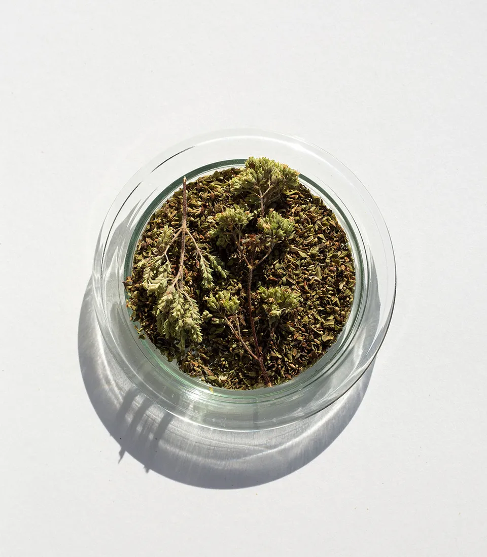 daphnis-and-chloe-culinary-herbs-greek-oregano-gew-rz-beutel-getrocknet image 1