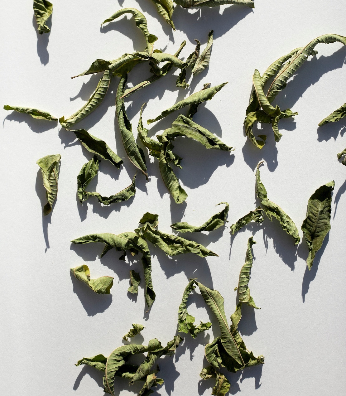 daphnis-and-chloe-lemon-verbena-kr-utertee-beutel-zitronig image 2
