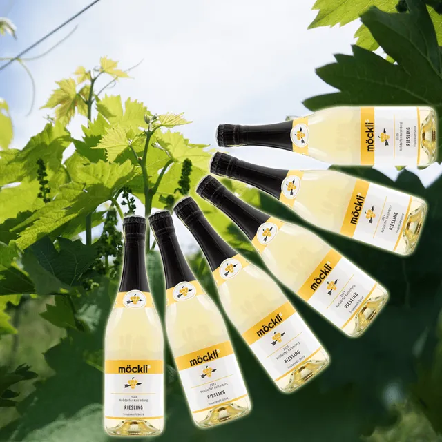 m-cklis-pakete-2023er-riesling-traubensaft-secco-6er-paket image 1