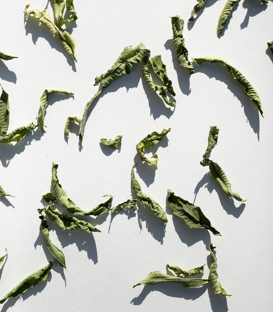 daphnis-and-chloe-herbal-teas-lemon-verbena-tee-zitronig-beutel image 2