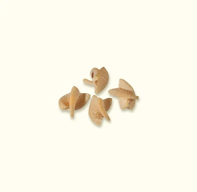 benedetto-cavalieri-eliche-integrali-bio-vollkorn-pasta-spiralen image 1