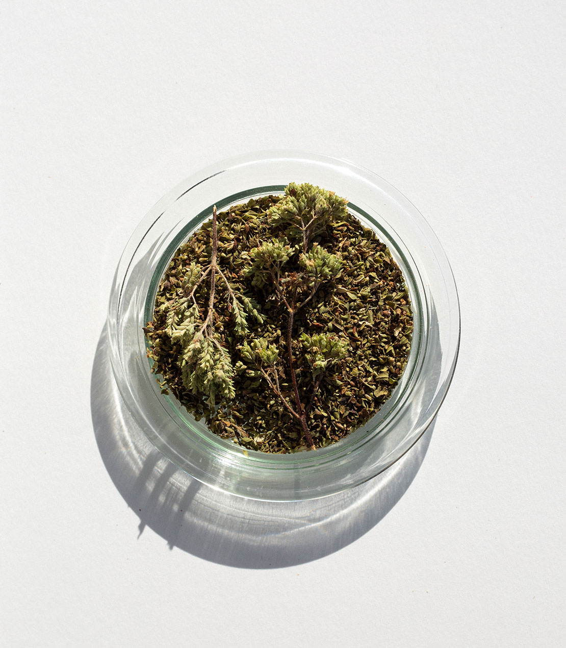 daphnis-and-chloe-culinary-herbs-greek-oregano-gew-rz-beutel-getrocknet image 1