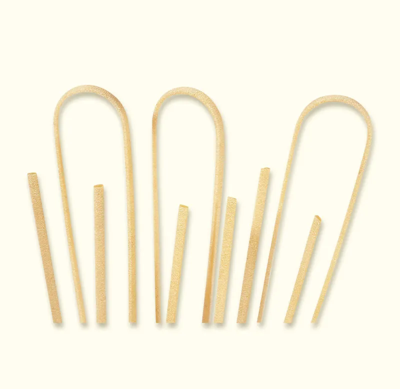benedetto-cavalieri-linguine-integrali-bio-vollkorn-pasta-lang image 1