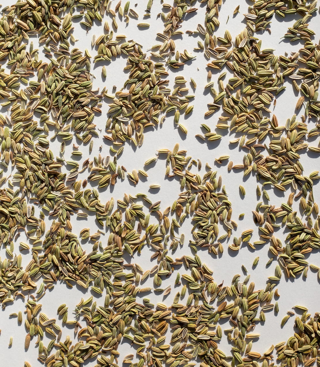 daphnis-and-chloe-fennel-seeds-gew-rz-beutel-anisartig image 2