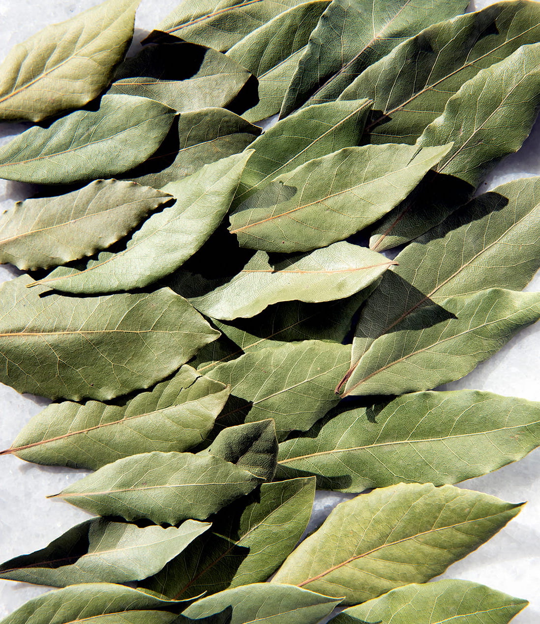 daphnis-and-chloe-selected-bay-leaves-lorbeerbl-tter-beutel-ganz image 2